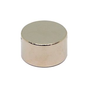 17mm x 10mm Neodymium Disc