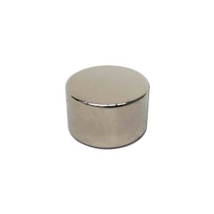 20mm x 12mm Neodymium Disc