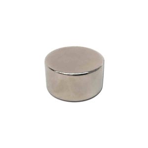 22mm x 12mm Neodymium Disc