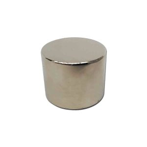 25mm x 20mm Neodymium Disc