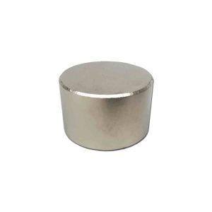 35mm x 22mm Neodymium Disc