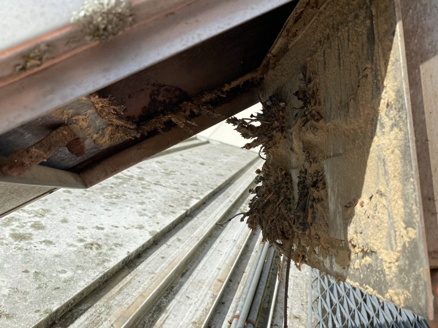 underflow plate 7 scaled 1