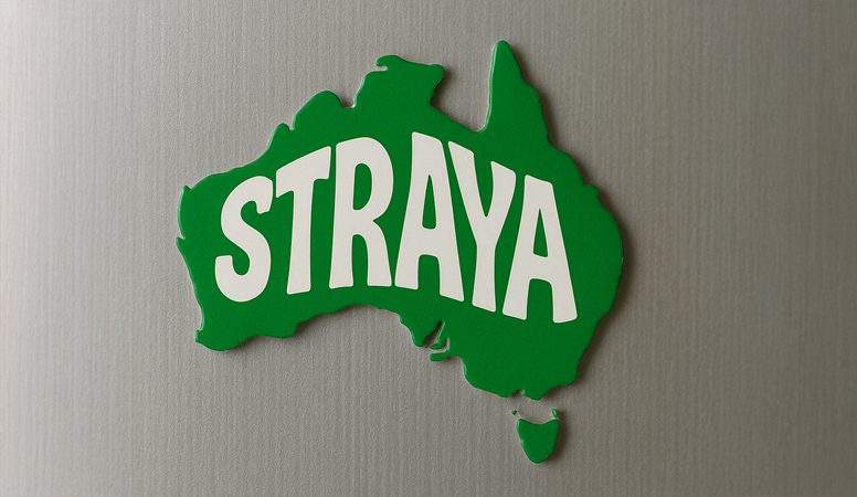 Looking for a Reliable Australian Magnet Supplier?